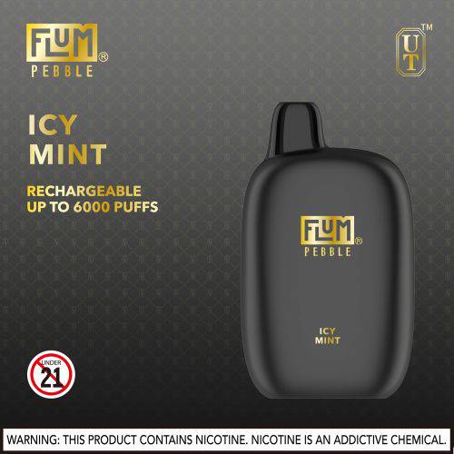 Flum Pebble 6000 Disposable Vape Device 