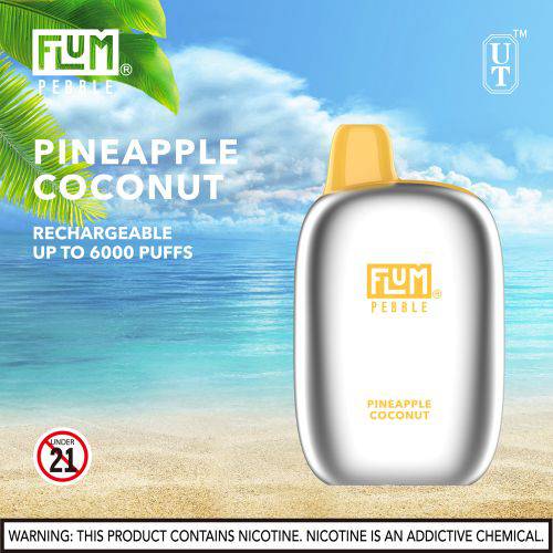 Flum Pebble 6000 Disposable Vape Device 