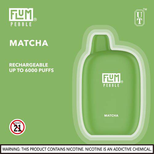 Flum Pebble 6000 Disposable Vape Device 